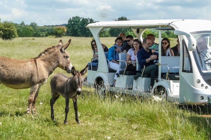 Visite del Parco Rurale