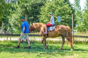 Il mio amico cavallo