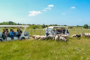 Visita in Agribus elettrico del Parco Rurale